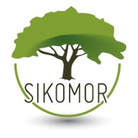 Sikomor