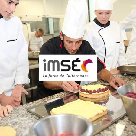 vignette-IMSE-site-vitrine